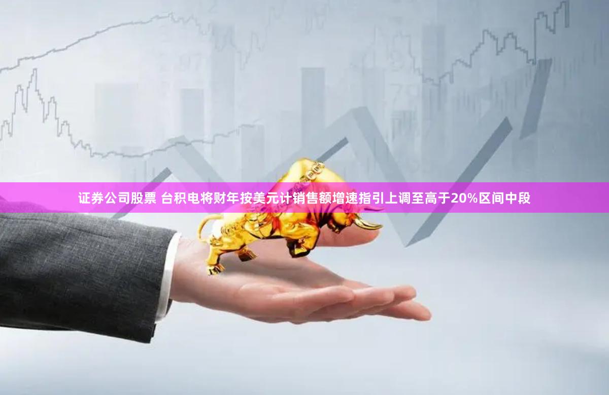 证券公司股票 台积电将财年按美元计销售额增速指引上调至高于20%区间中段
