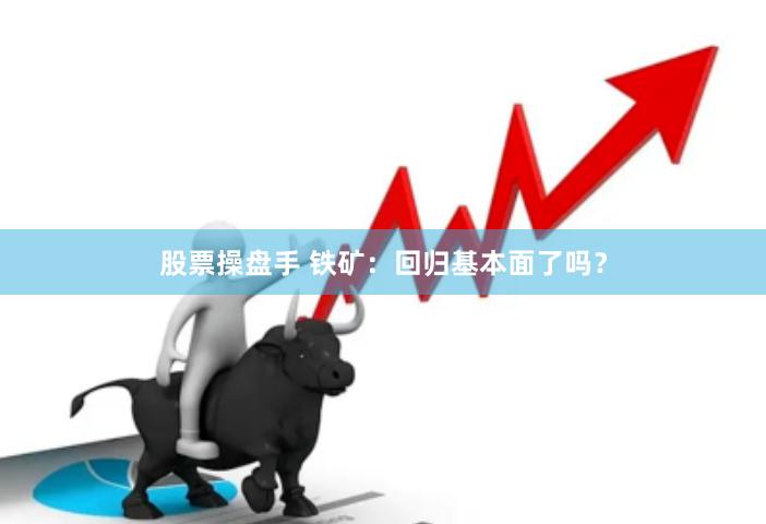 股票操盘手 铁矿：回归基本面了吗？