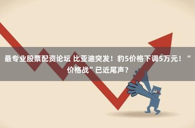 最专业股票配资论坛 比亚迪突发！豹5价格下调5万元！“价格战”已近尾声？