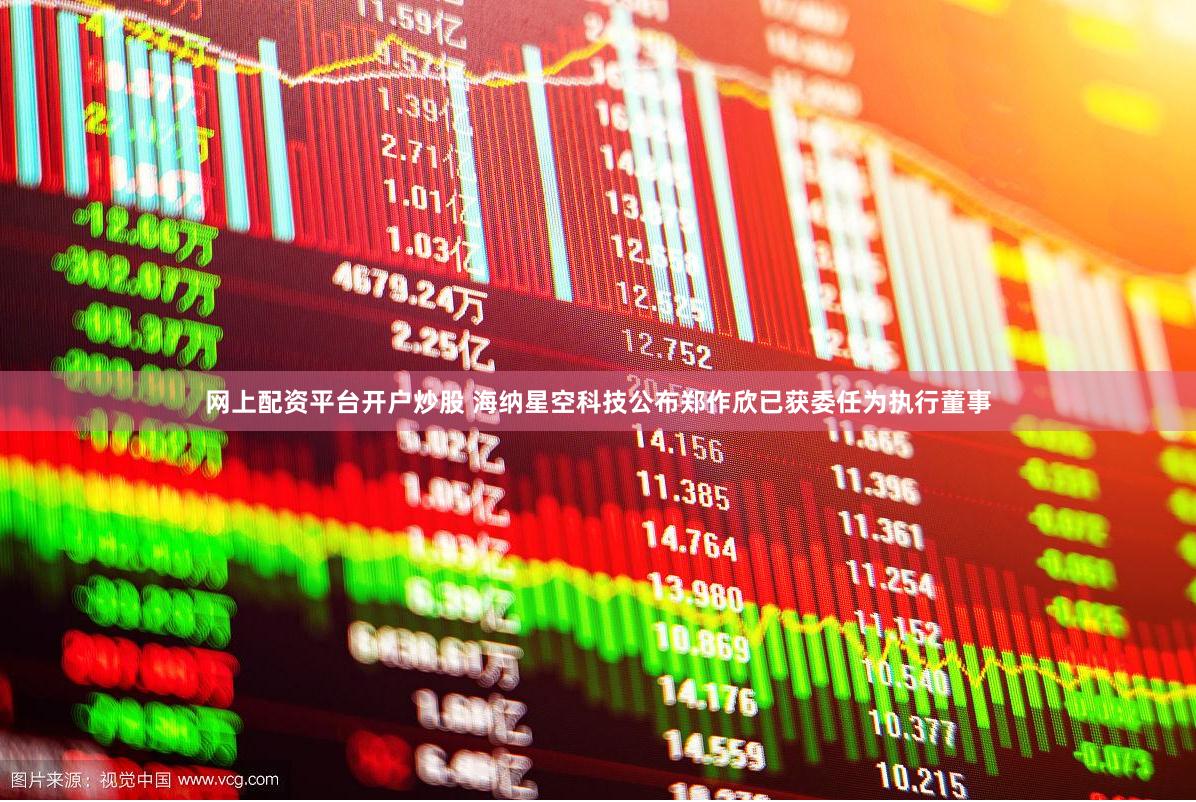 网上配资平台开户炒股 海纳星空科技公布郑作欣已获委任为执行董事