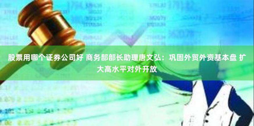 股票用哪个证券公司好 商务部部长助理唐文弘：巩固外贸外资基本盘 扩大高水平对外开放