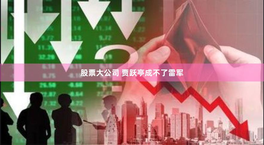 股票大公司 贾跃亭成不了雷军