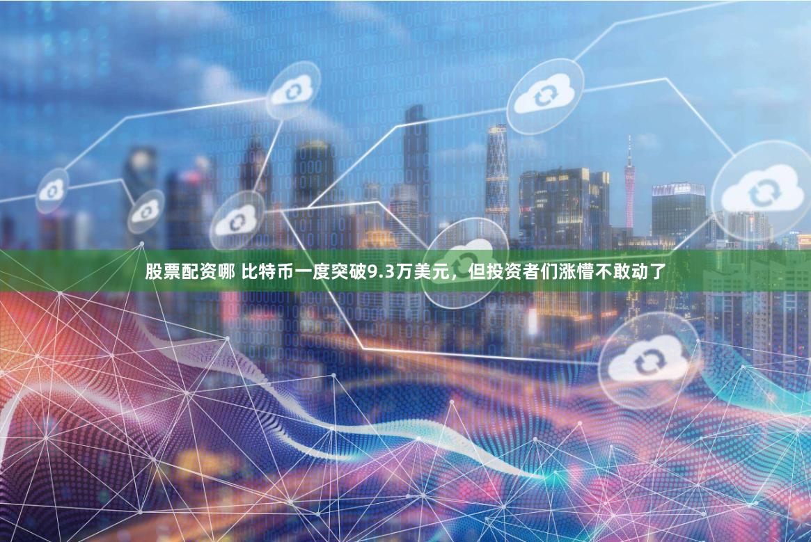 股票配资哪 比特币一度突破9.3万美元，但投资者们涨懵不敢动了