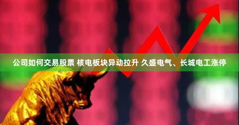 公司如何交易股票 核电板块异动拉升 久盛电气、长城电工涨停