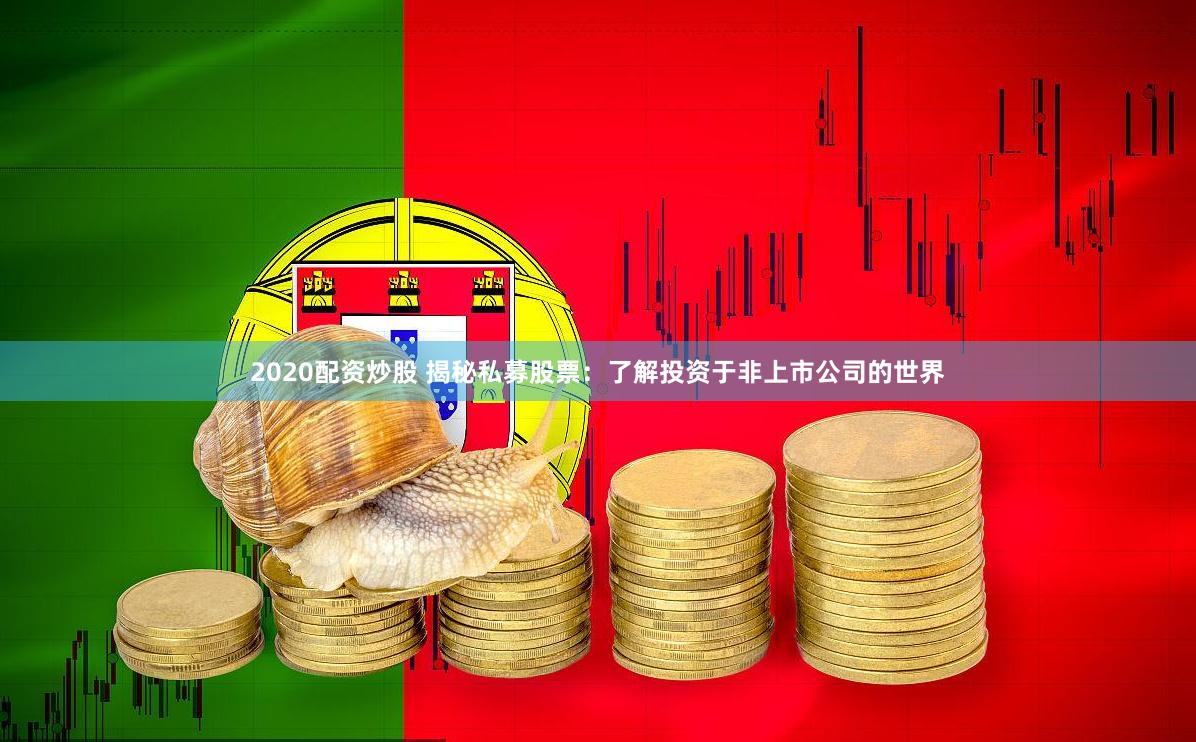 2020配资炒股 揭秘私募股票：了解投资于非上市公司的世界