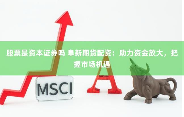 股票是资本证券吗 阜新期货配资：助力资金放大，把握市场机遇