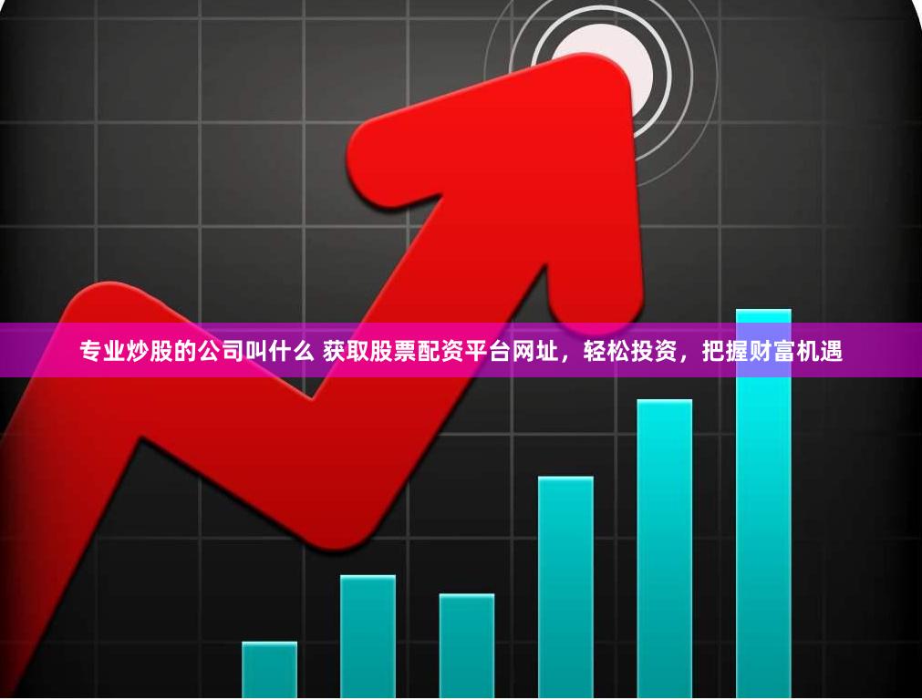 专业炒股的公司叫什么 获取股票配资平台网址，轻松投资，把握财富机遇
